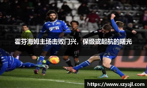 霍芬海姆主场击败门兴,保级或起航的曙光